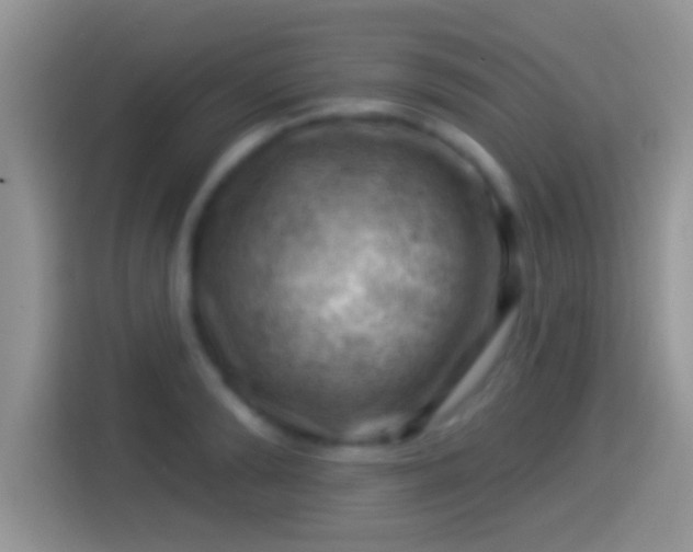 X0000116010894200911251118