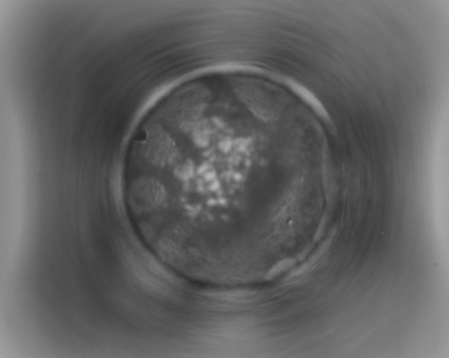 X0000116010895200911251118