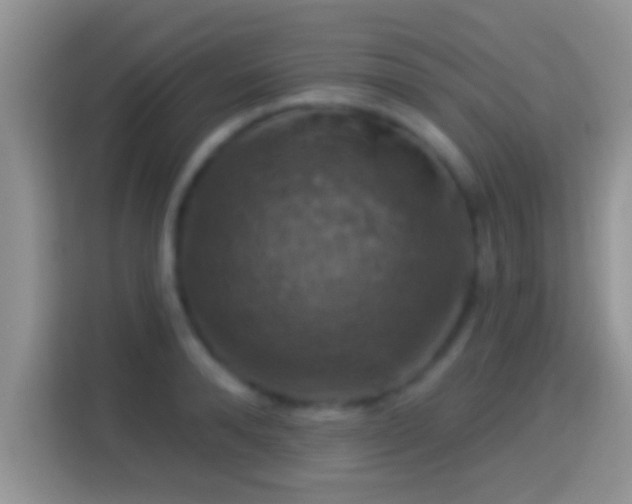 X0000116010896200911251118