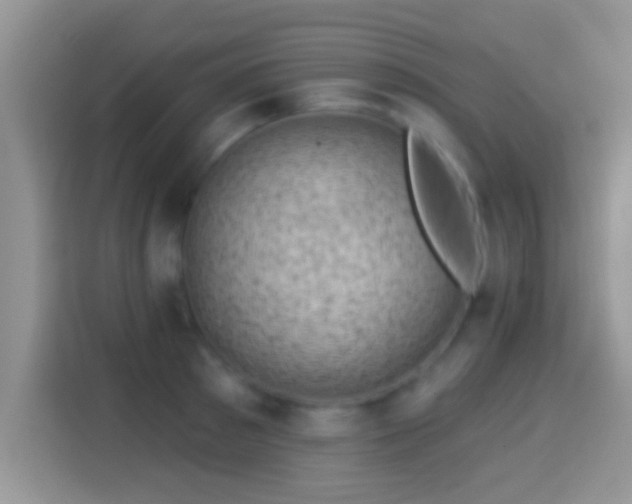 X0000116010897200911251118