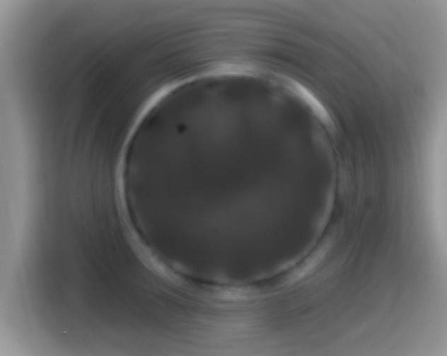 X0000116010899200911251118