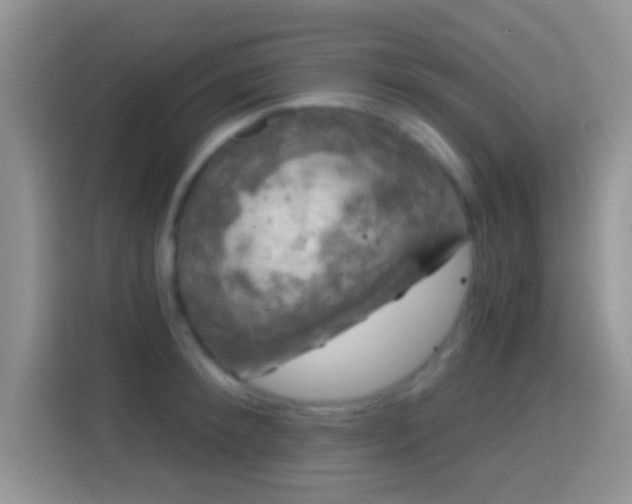 X0000116010900200911251118