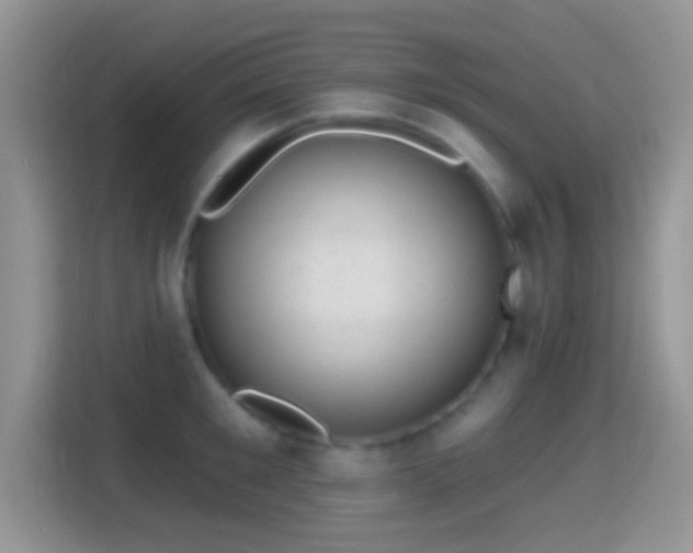 X0000116010901200911251118