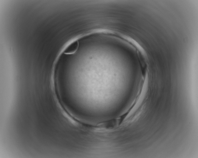 X0000116010902200911251118