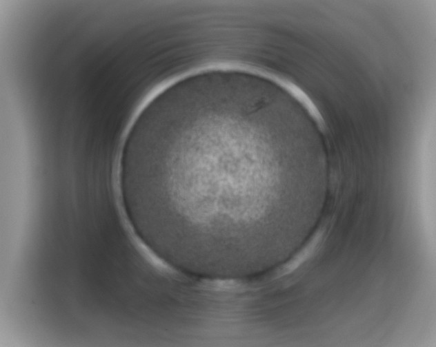 X0000116010903200911251118