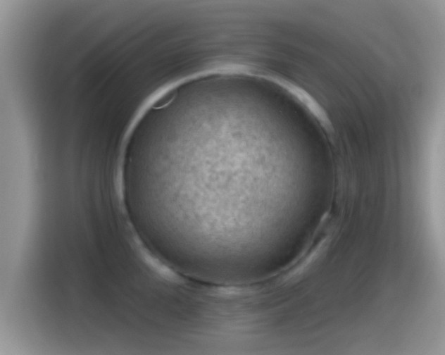 X0000116010904200911251118