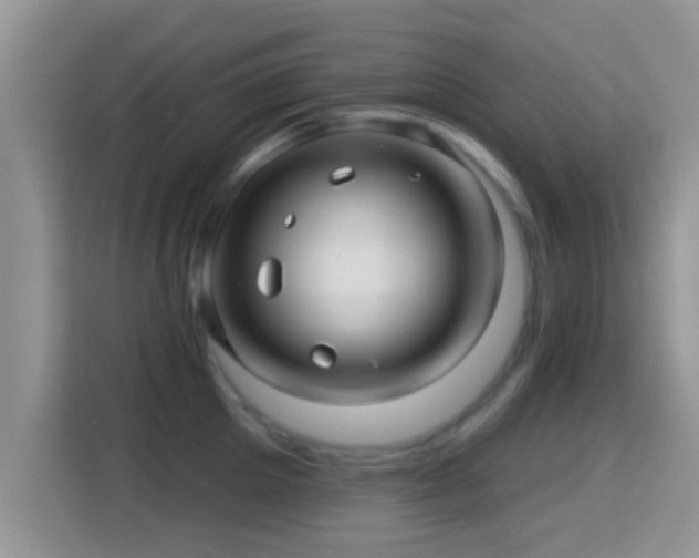 X0000116010905200911251118