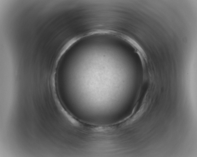 X0000116010906200911251118