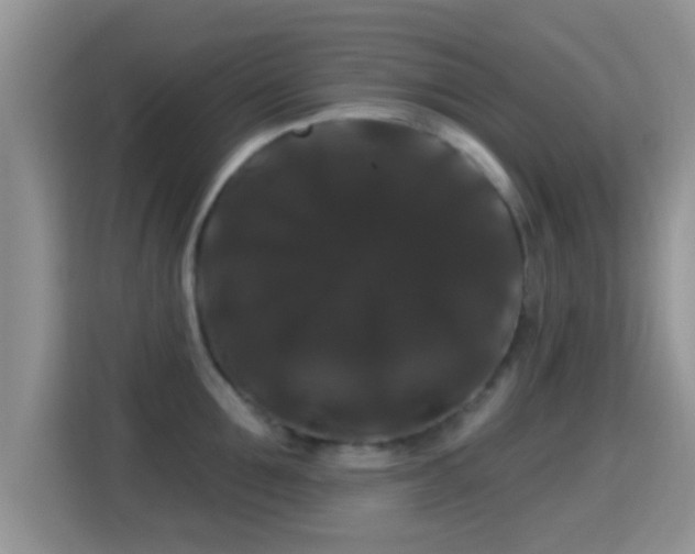 X0000116010907200911251118