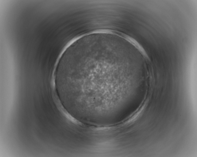X0000116010908200911251118