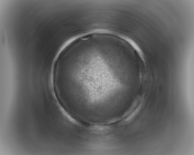 X0000116010910200911251118