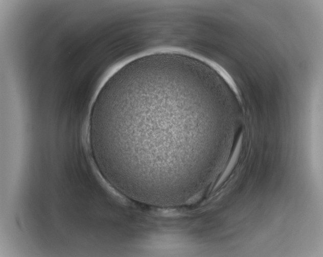 X0000116010911200911251118