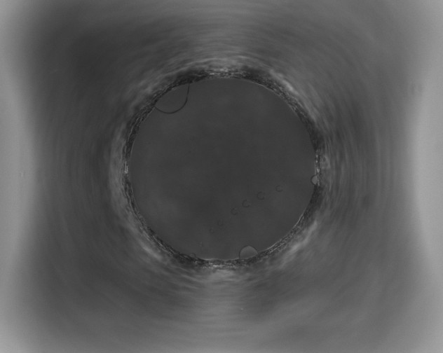 X0000116010913200911251117