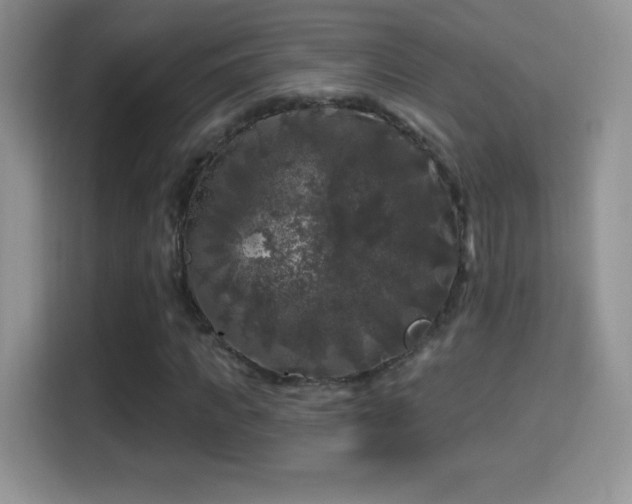X0000116010917200911251117