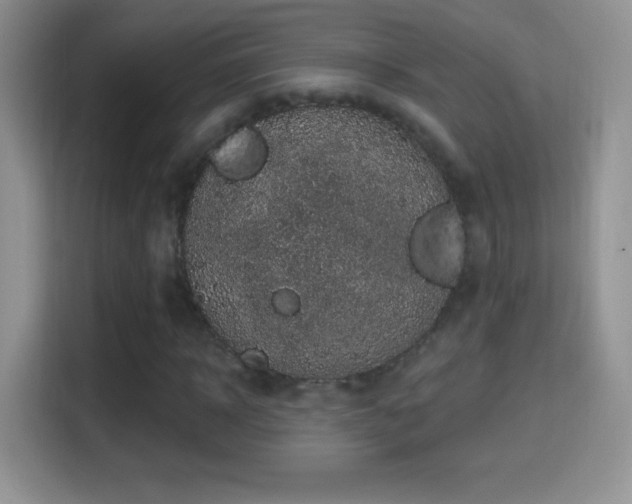 X0000116010918200911251117