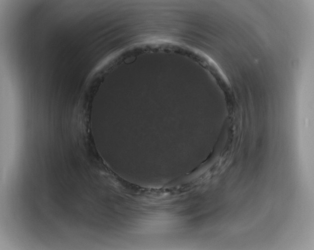 X0000116010919200911251117