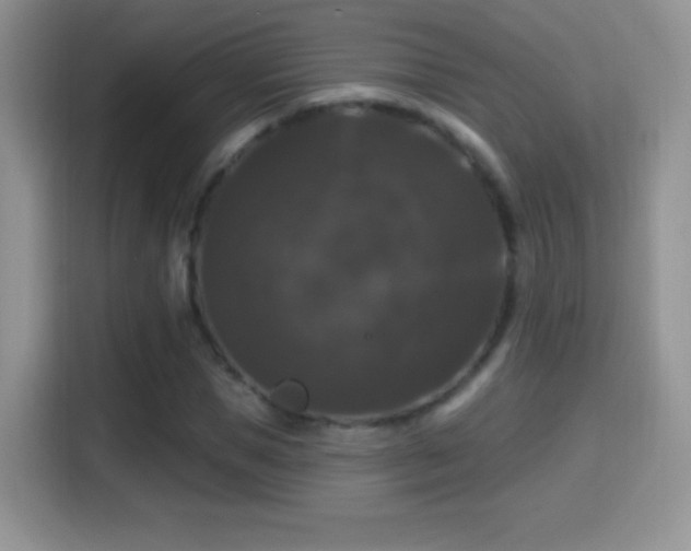 X0000116010921200911251117