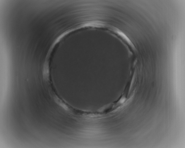 X0000116010923200911251117