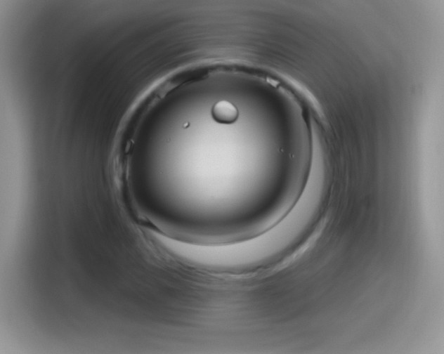 X0000116010925200911251117