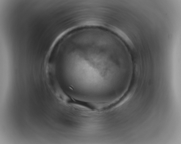 X0000116010926200911251117