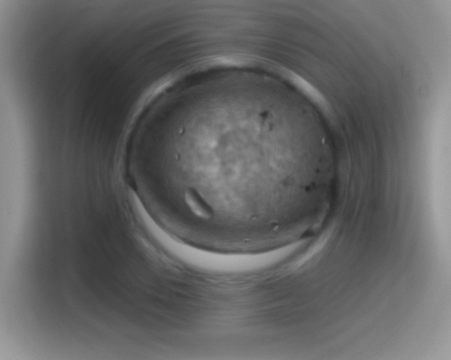 X0000116010930200911251117