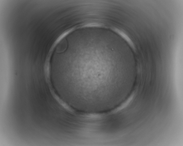 X0000116010933200911251118