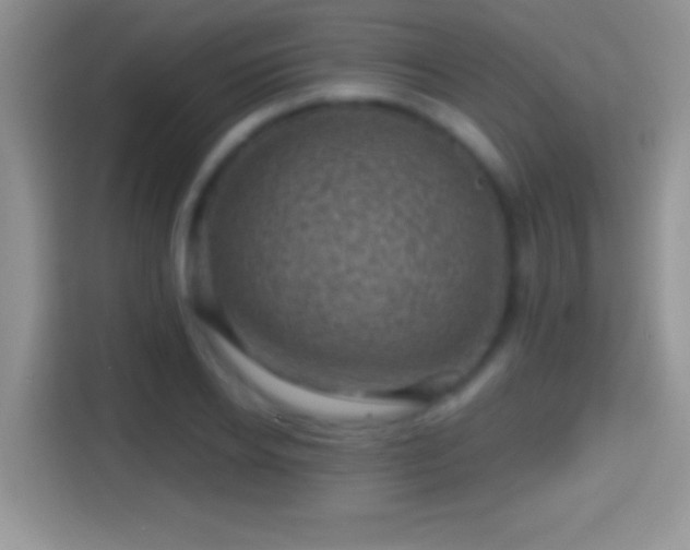 X0000116010934200911251118