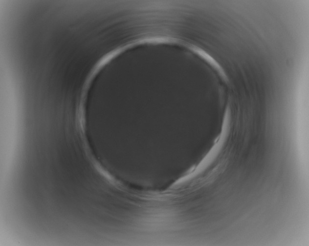 X0000116010935200911251118