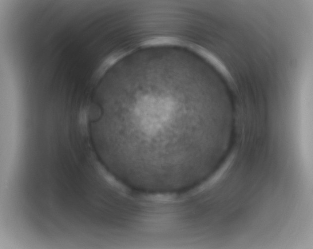 X0000116010937200911251118