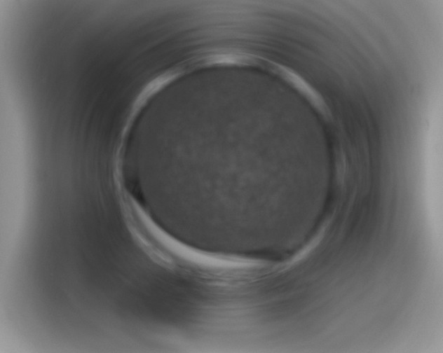 X0000116010938200911251118