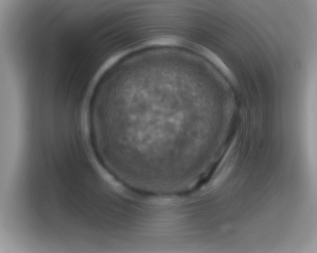 X0000116010939200911251118