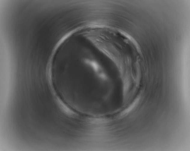 X0000116010941200911251118