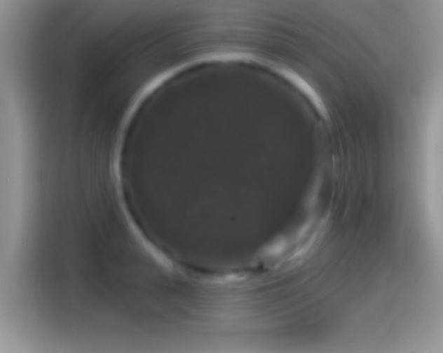 X0000116010943200911251118