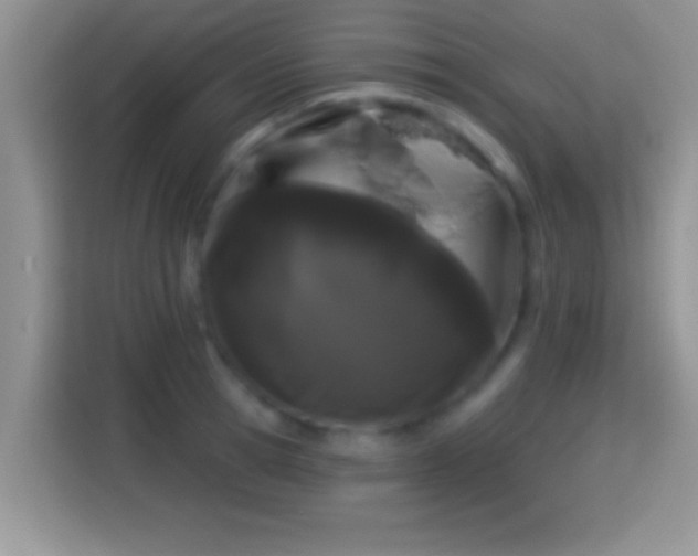 X0000116010945200911251118