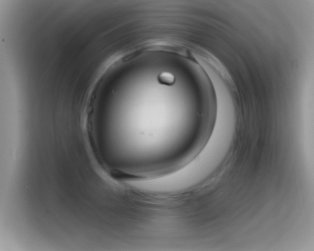 X0000116010946200911251118