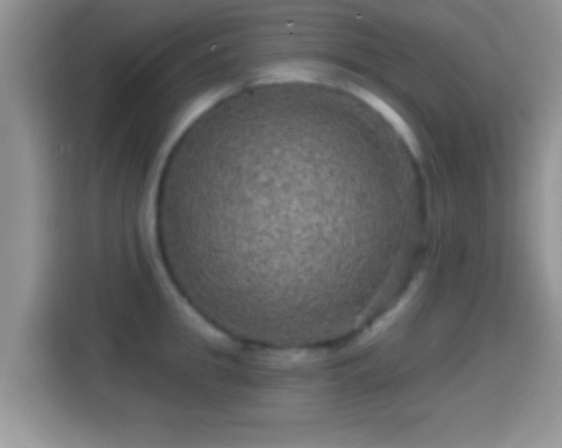 X0000116010949200911251118
