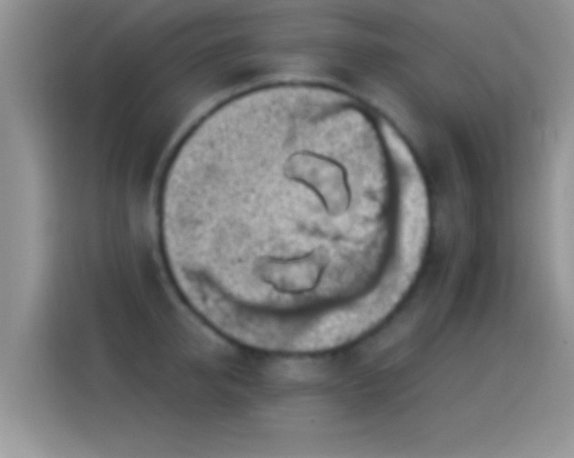 X0000116010950200911251118