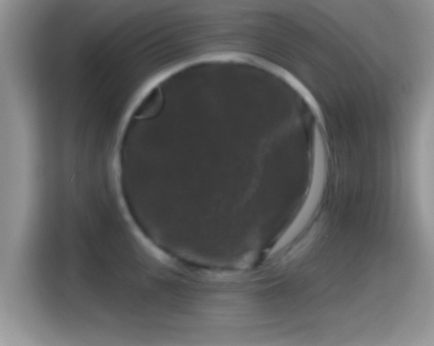 X0000116010951200911251118