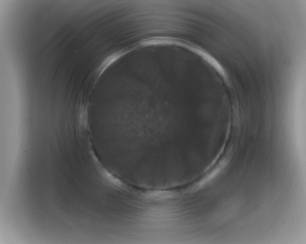X0000116010953200911251118