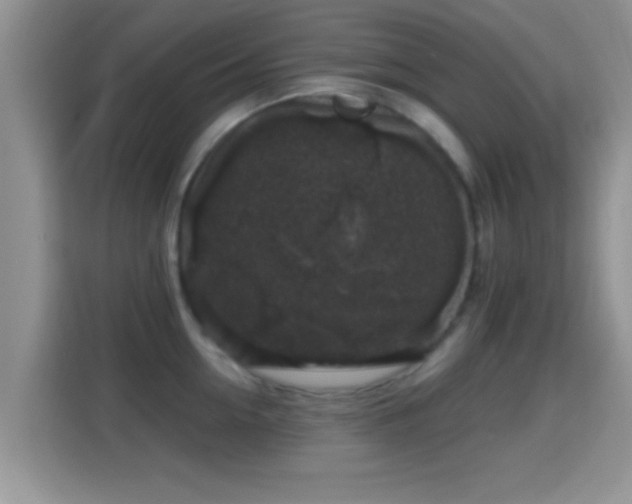 X0000116010954200911251118