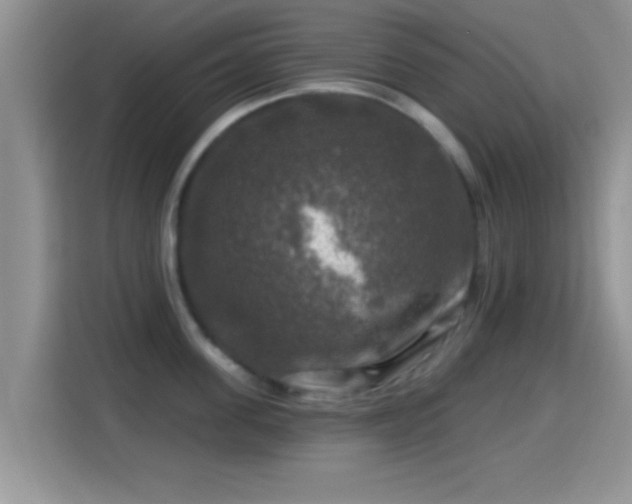 X0000116010955200911251118