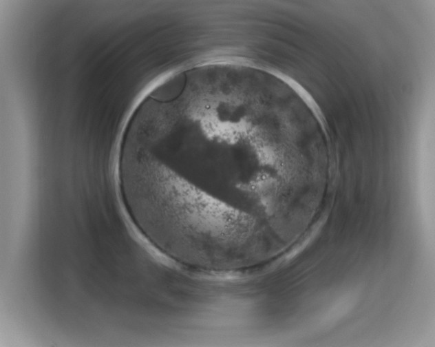 X0000116010957200911251118
