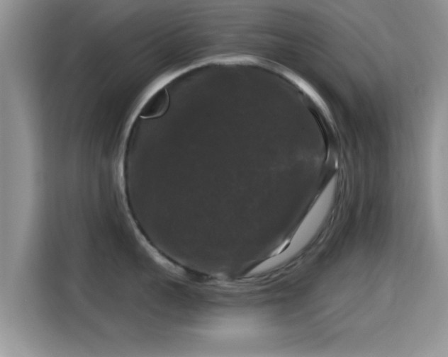 X0000116010959200911251118