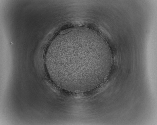 X0000116010961200911251117