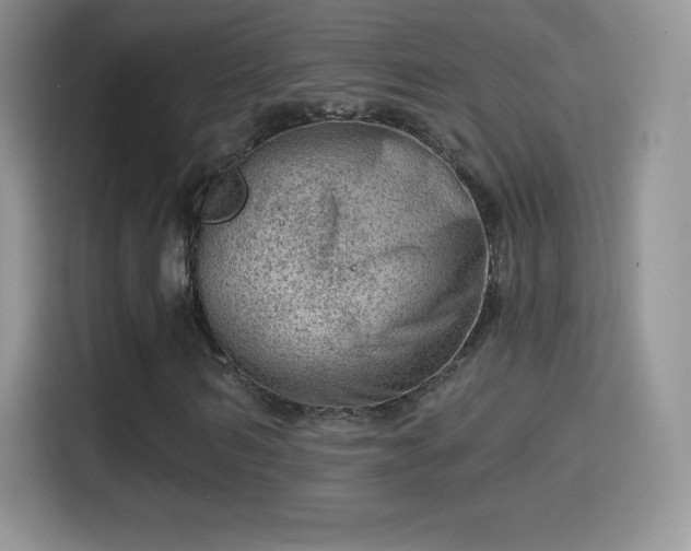 X0000116010962200911251117