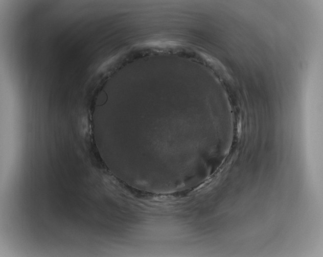X0000116010966200911251117