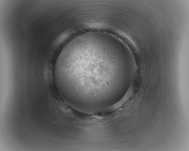 X0000116010968200911251117