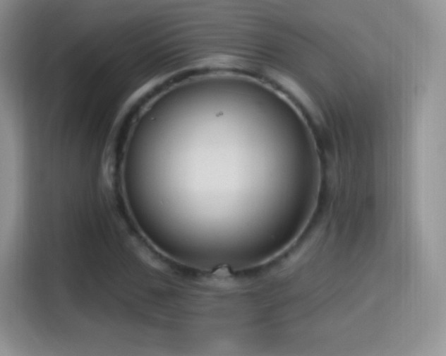 X0000116010971200911251117