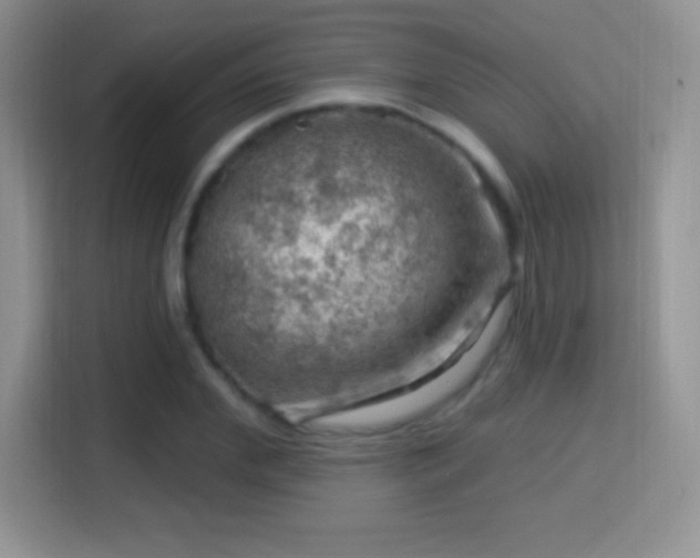 X0000116010972200911251117