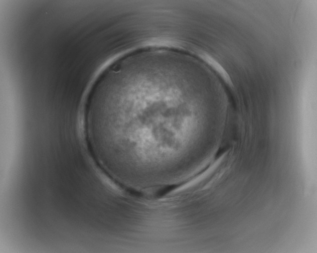 X0000116010976200911251117